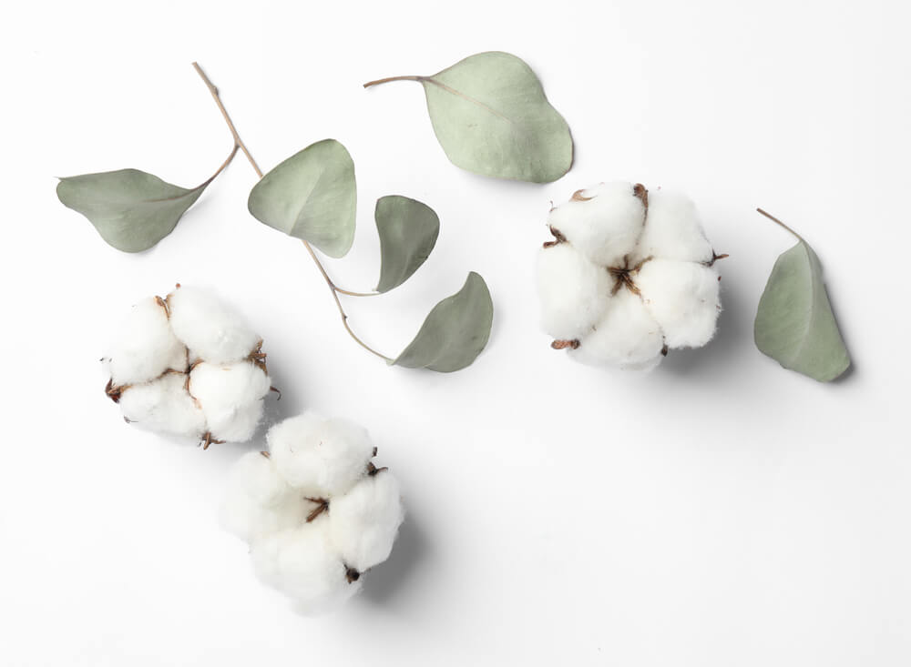Cotton