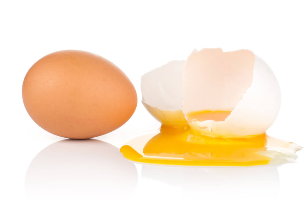 Do Your Hens Have Egg Eating Behavior