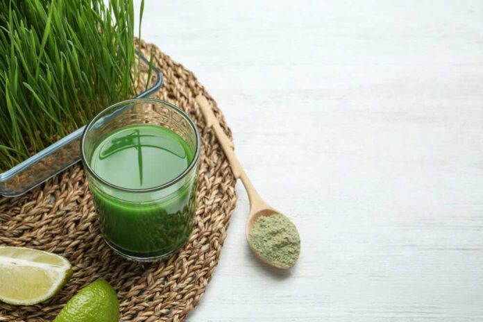 Best Wheatgrass Juice Powder
