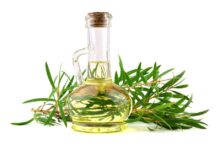 Best Organic Tea Tree Oil Reviews 2025 | Benefits & Buying Guide Best Organic Tea Tree Oil