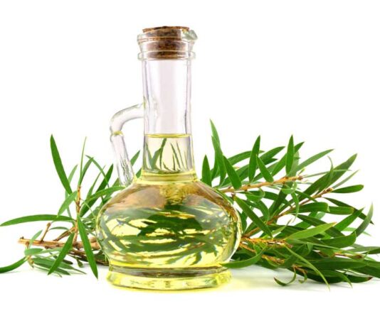 Best Organic Tea Tree Oil Reviews 2025 | Benefits & Buying Guide Best Organic Tea Tree Oil