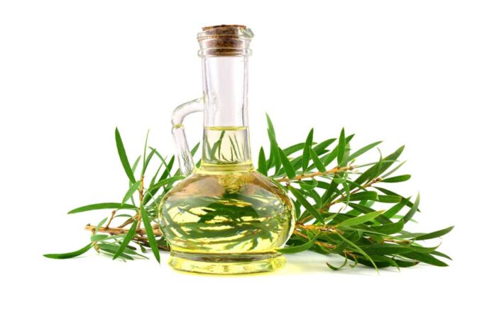 Best Organic Tea Tree Oil