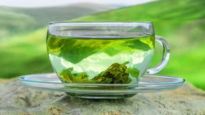Best-Organic-Green-Tea Best Organic Green Tea