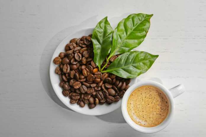 are-there-benefits-to-drinking-organic-Coffee Are There Benefits to Drinking Organic Coffee