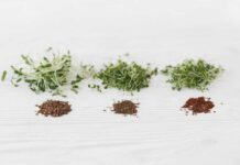 Best Microgreen Seeds Review 2025 | Start Growing Now Best Microgreen Seeds