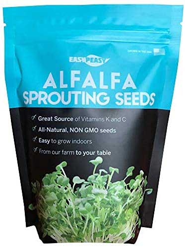 Easy Peasy Non GMO Alfalfa Sprouting Seed
