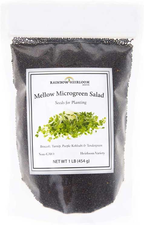 Rainbow Heirloom Seed Mellow Microgreen Salad Mix